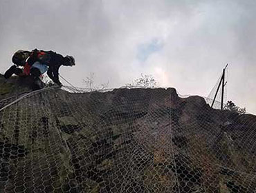 Alpinisti Utilitari curatare arbori, toaletare arbori